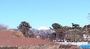 駿府城からの富士山