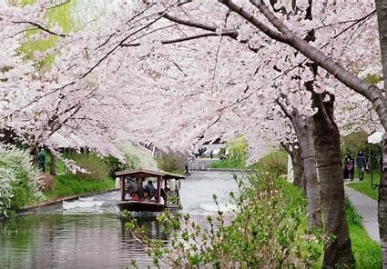 琵琶湖疎水の十石舟