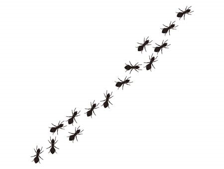 蟻の列