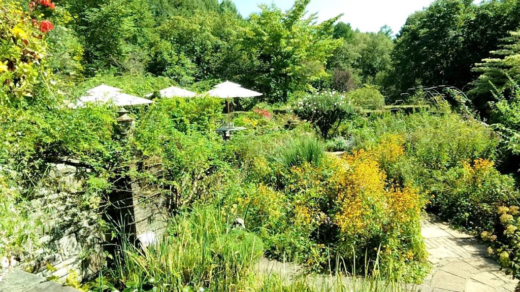 イングリシュガーデンのバラクラ