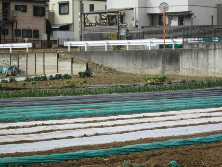 創作小説の挿絵